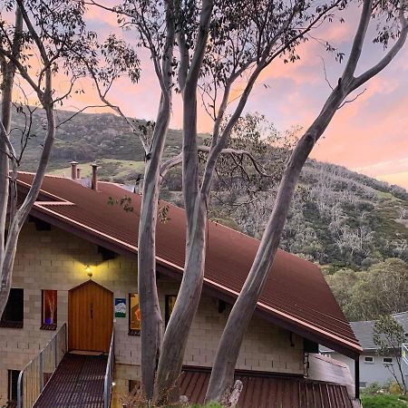 Murmeli Falls Creek Villa Bagian luar foto